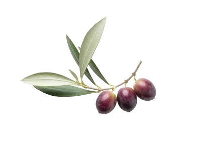 Imagen PNG para descargar